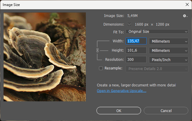 Okno dialogowe Photoshopa pokazujące wymiary zdjęcia w milimetrach przy drukowej rozdzielczości.